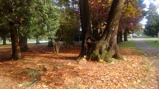 Park «Marymoor Park», reviews and photos, 6046 West Lake Sammamish Pkwy NE, Redmond, WA 98052, USA