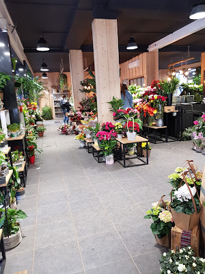 Boulevard des fleurs à Le Havre