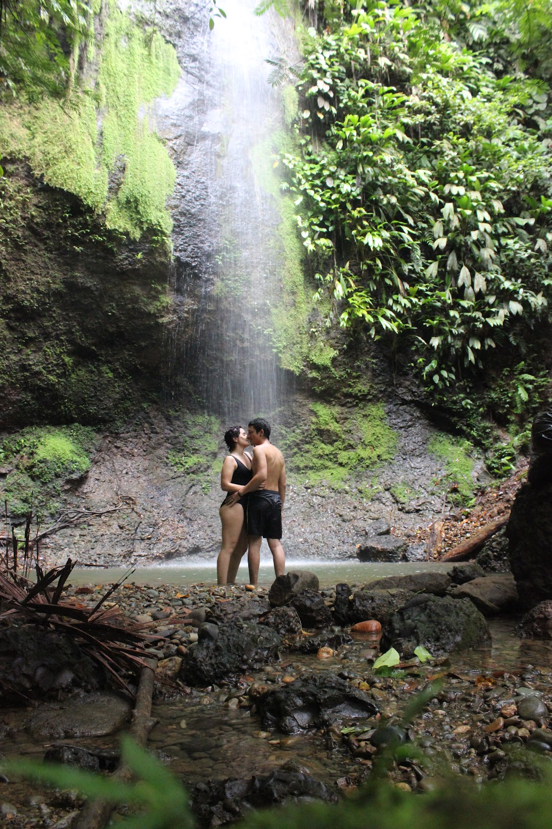 La Cascada Venado Verde