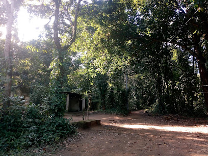 Municipal Park of Taquara Duque de Caxias RJ