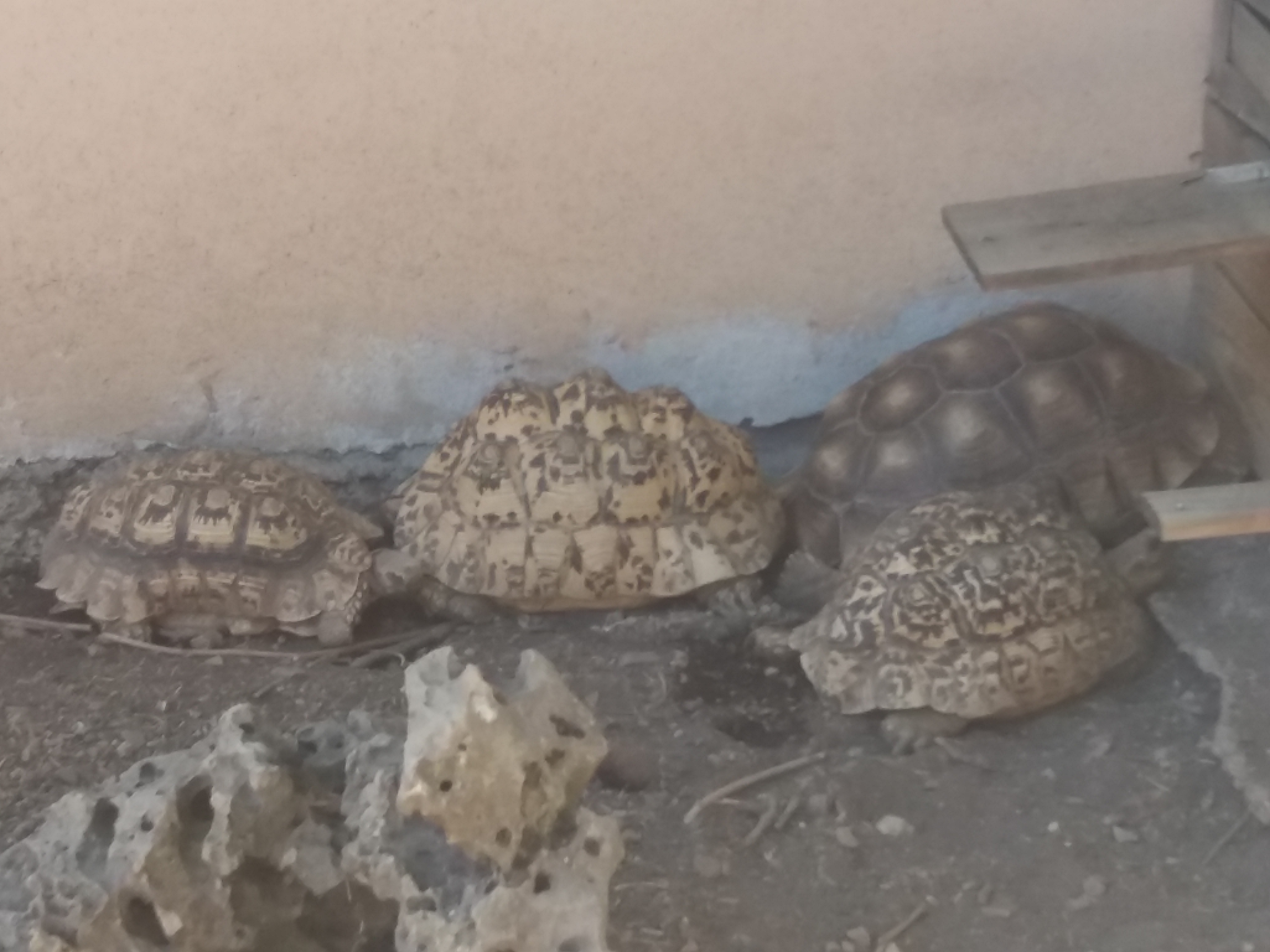 Photo n° 25 de l'avis de Damien.i fait le 21/08/2017 à 19:35