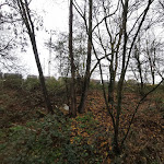 Photo n°1 de l'avis de Mario.w fait le 02/12/2020 à 16:41 sur le  Hotel Christina à Cologne