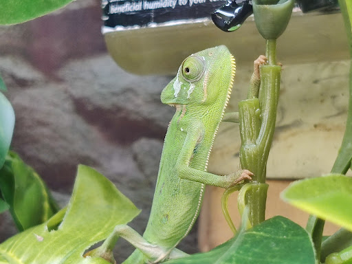 Pet Supply Store «Petco Animal Supplies», reviews and photos, 6137 Mid Rivers Mall Dr, St Charles, MO 63304, USA