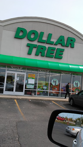 Dollar Store «Dollar Tree», reviews and photos, 1420 S Centerville Rd, Sturgis, MI 49091, USA