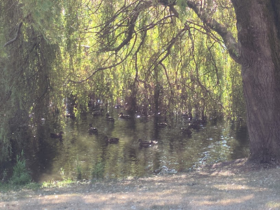Diefenbaker Pond