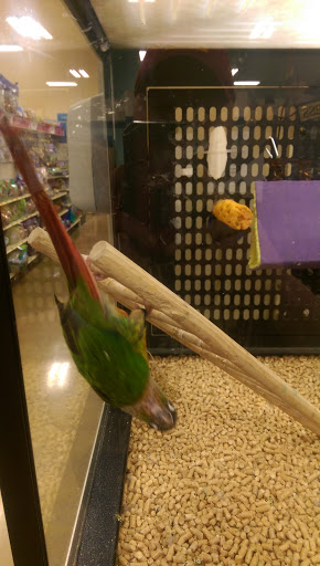 Pet Supply Store «PetSmart», reviews and photos, 2325 S Stemmons Fwy, Lewisville, TX 75067, USA