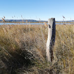 Photo n° 8 de l'avis de Nicolas.a fait le 12/01/2019 à 05:31 pour Plage des Aresquiers à Frontignan