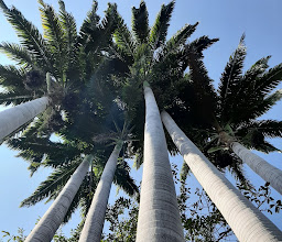 Parque de las Arboledas photo