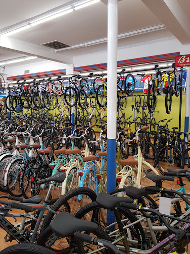 Bicycle Store «Quad Cycles», reviews and photos, 1043 Massachusetts Ave, Arlington, MA 02476, USA