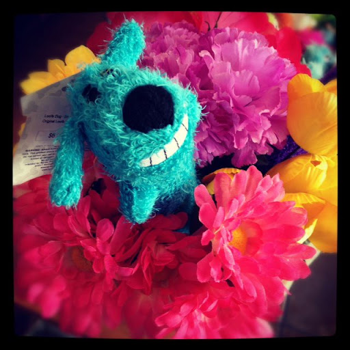 Pet Adoption Service «Found Animals Adopt & Shop», reviews and photos, 353 Lakewood Center Mall, Lakewood, CA 90712, USA