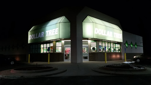 Dollar Store «Dollar Tree», reviews and photos, 3395 Great Neck Rd, Amityville, NY 11701, USA