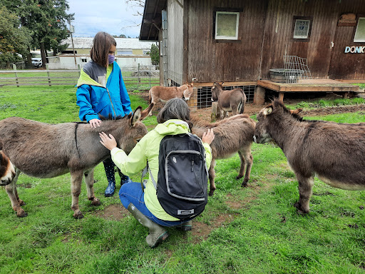 Tourist Attraction «Tollen Farm», reviews and photos, 11681 SW Tooze Rd, Wilsonville, OR 97070, USA