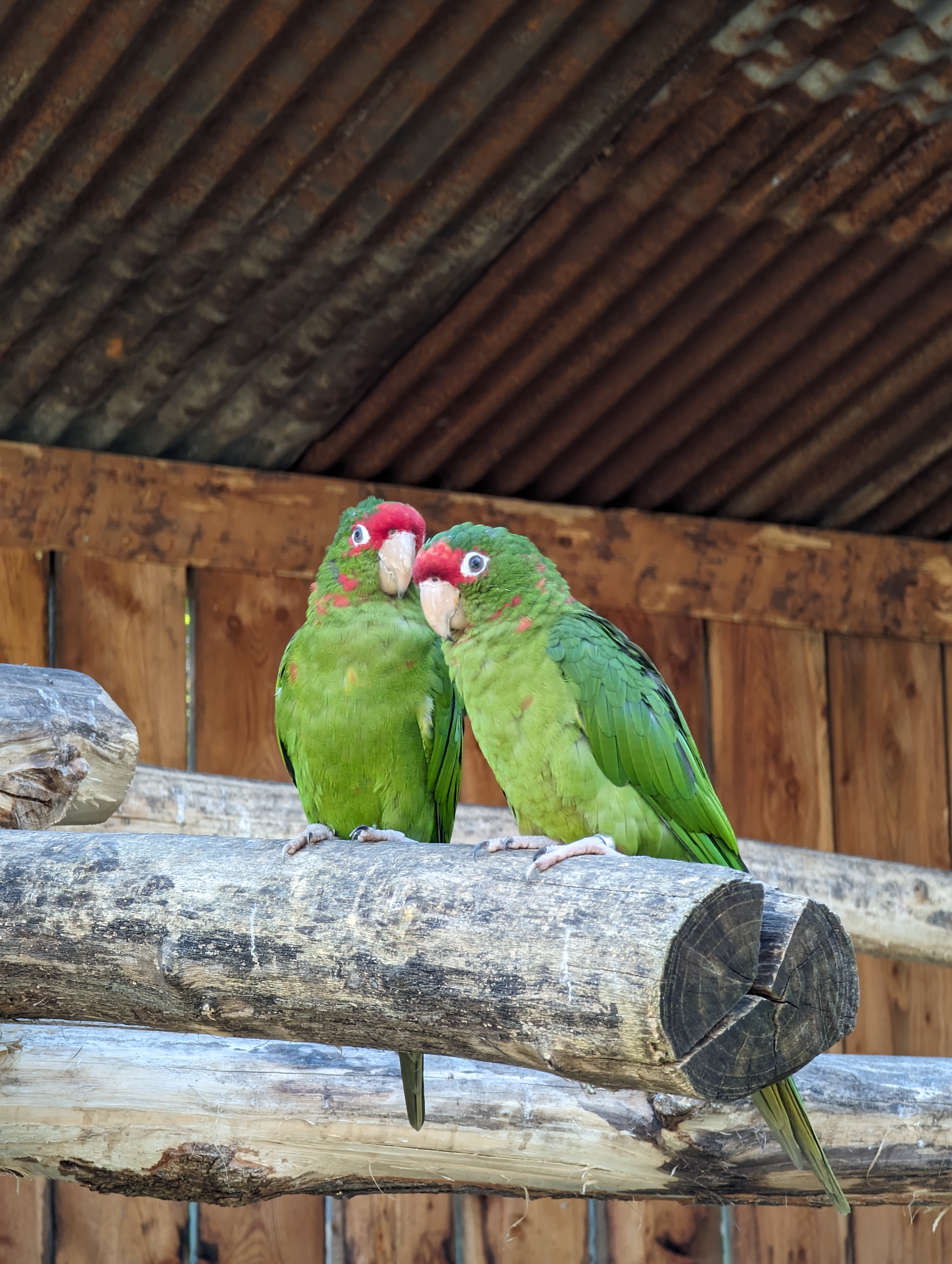 Photo n° 41 de l'avis de Thibaud.l fait le 10/10/2023 à 07:10