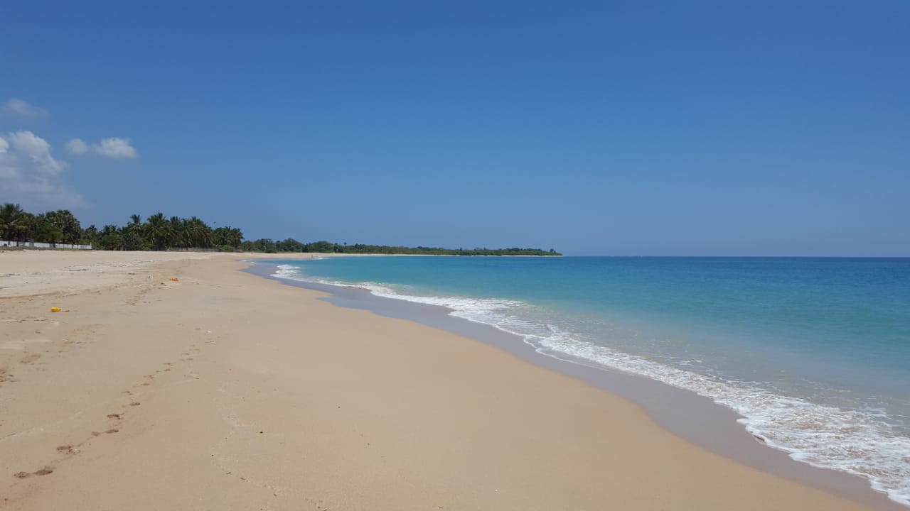 Zdjęcie Theepan garden Beach z poziomem czystości wysoki