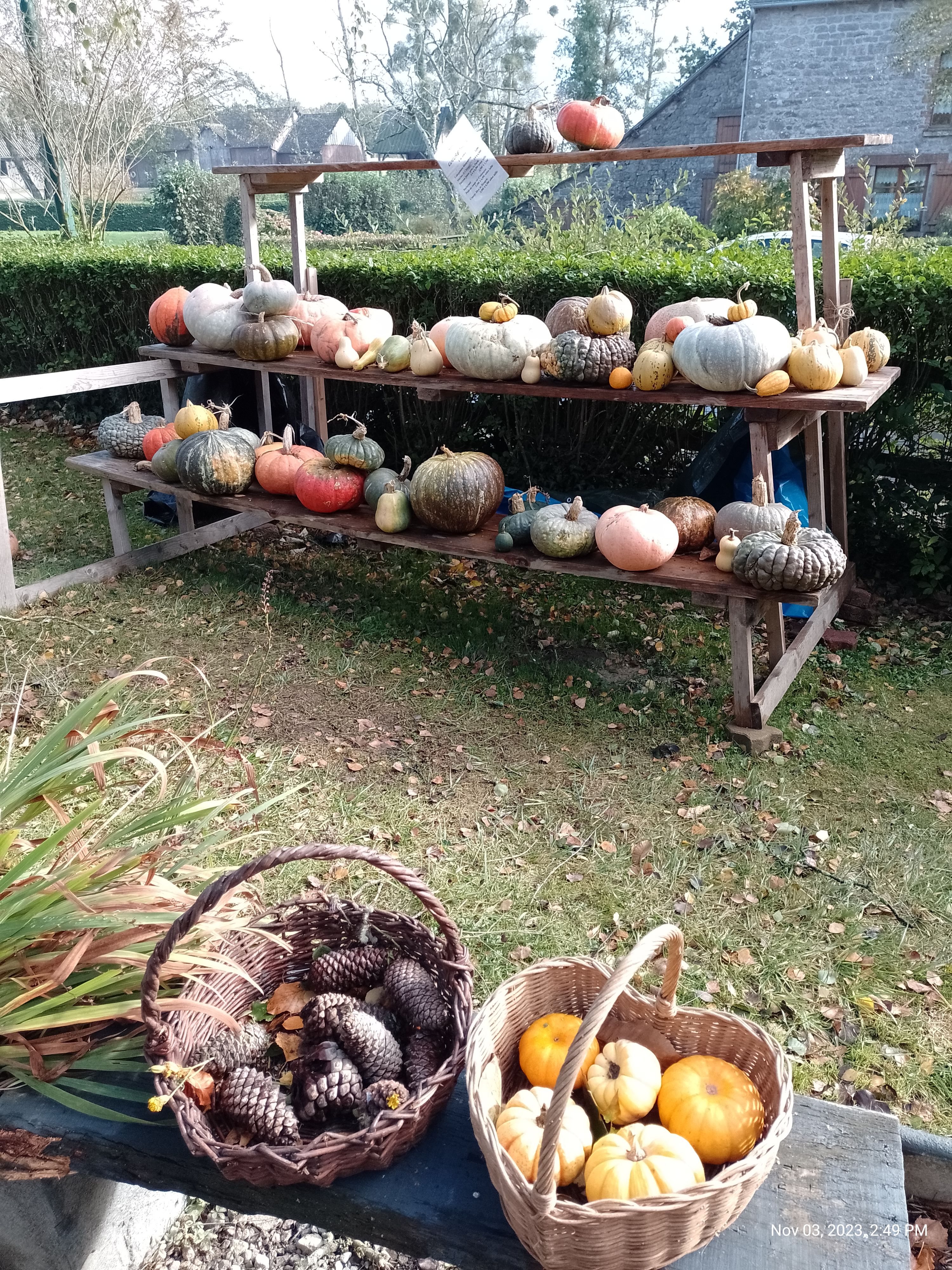 Photo n° 1 de l'avis de Pascal.a fait le 06/11/2023 à 19:41