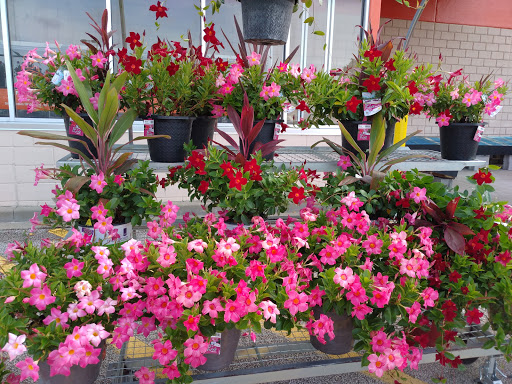 Home Improvement Store «The Home Depot», reviews and photos, 3200 Market Pl Dr, Ashtabula, OH 44004, USA