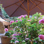 Photo n°40 de l'avis de Juergen.o fait le 14/07/2023 à 18:58 sur le  Alte Mühle Thomas Höreth à Kobern-Gondorf