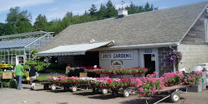 Joe's Gardens