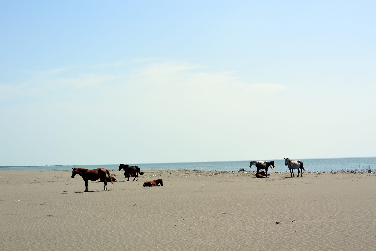Kulevi beach'in fotoğrafı düz ve uzun ile birlikte