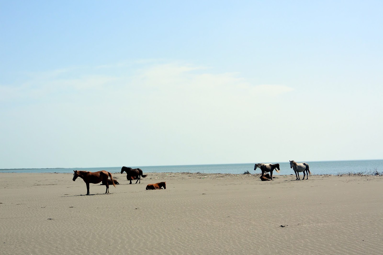 Foto von Kulevi beach mit türkisfarbenes wasser Oberfläche