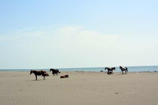 Kulevi beach