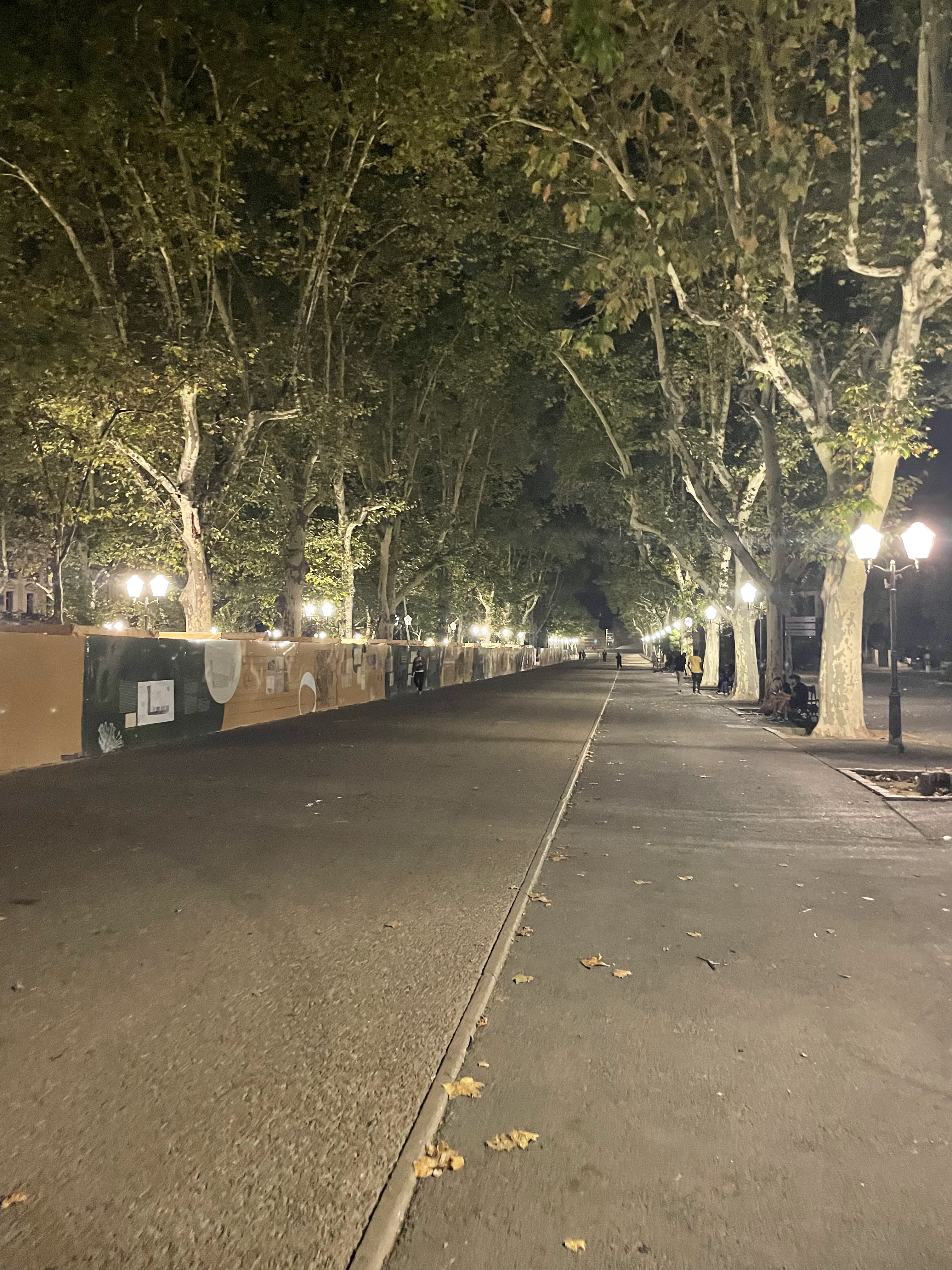 Photo n° 2 de l'avis de Ely.a fait le 03/09/2023 à 00:04