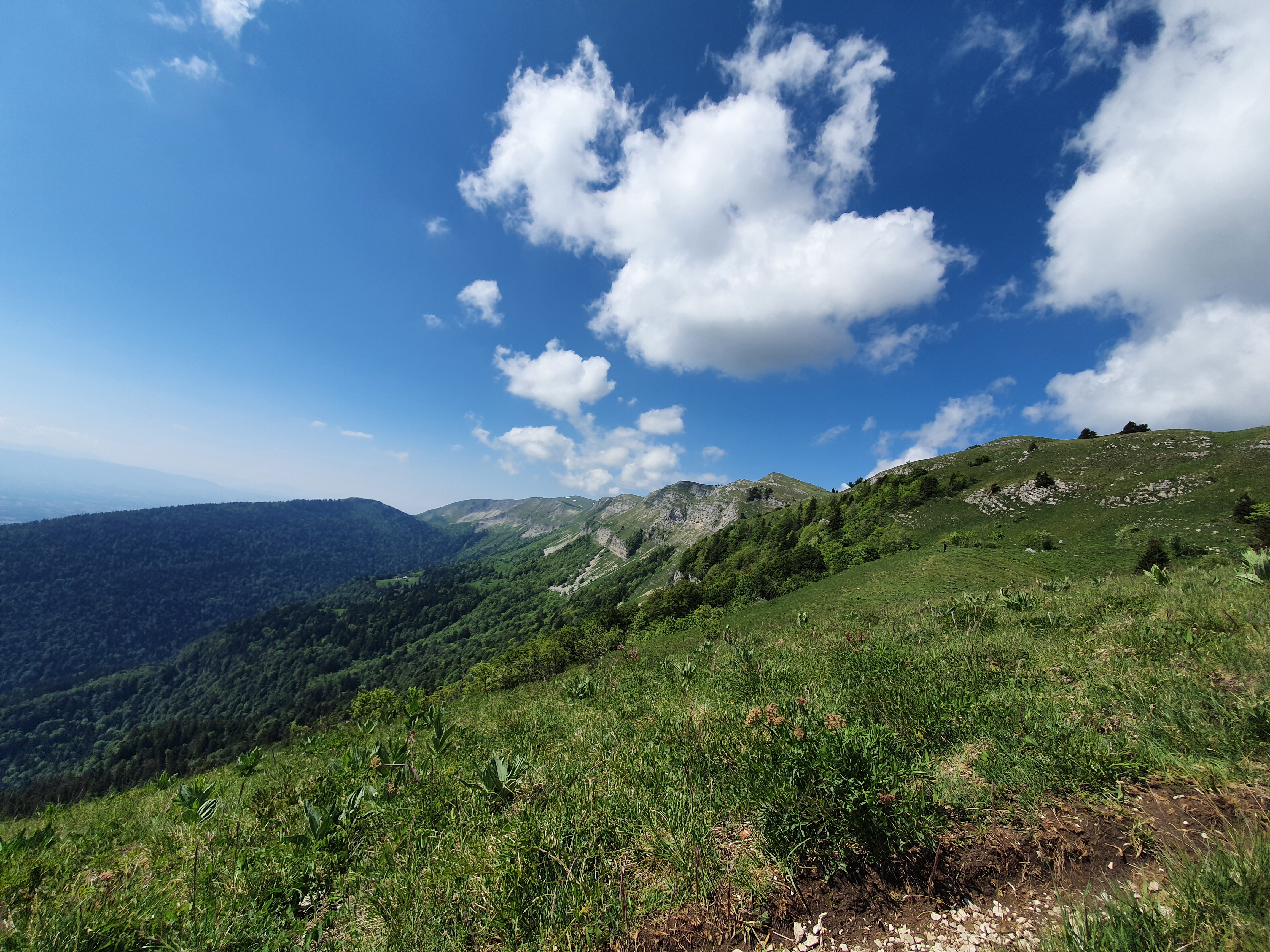 Photo n° 2 de l'avis de Viktória.i fait le 11/06/2020 à 18:30