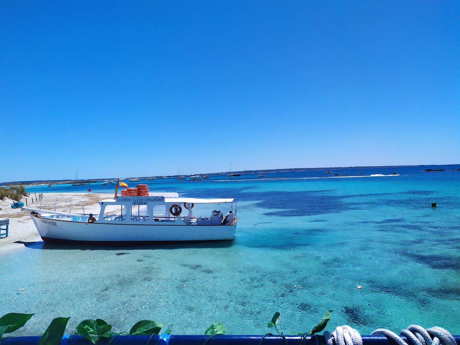 Zdjęcie Platja de S'Alga położony w naturalnym obszarze