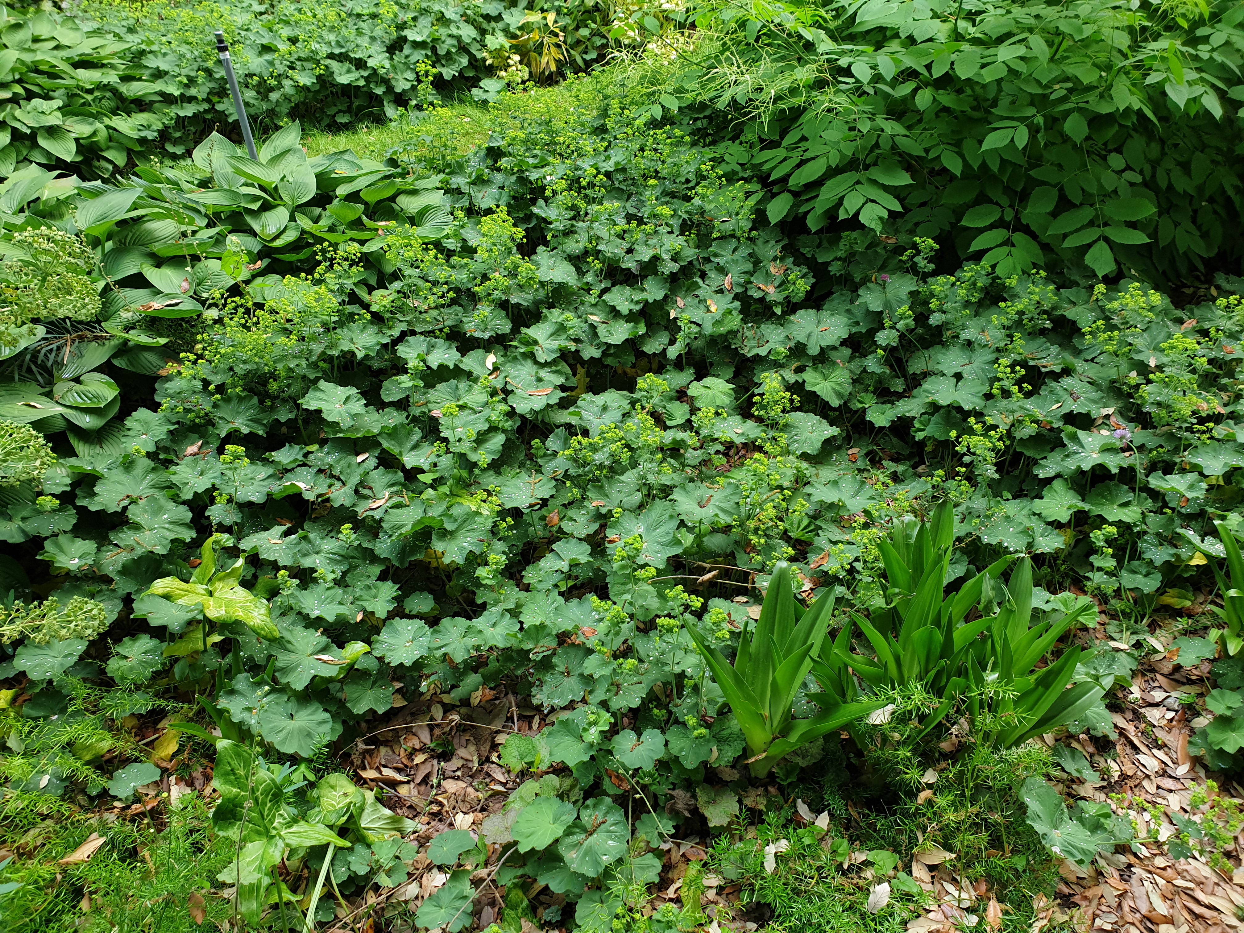 Photo n° 3 de l'avis de Sylvain.o fait le 04/06/2019 à 14:15