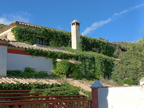 Hacienda Minerva by null