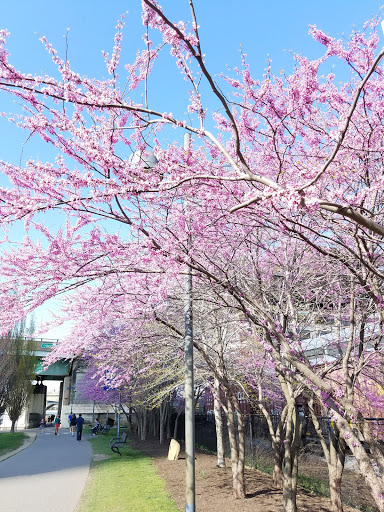 Park «Schuylkill Banks», reviews and photos, 2501 Walnut St, Philadelphia, PA 19103, USA