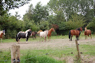 Ferme Equestre du Tréglodé Landujan