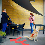 Photo n°5 de l'avis de Giuseppe.a fait le 19/03/2022 à 12:26 sur le  Oltre le mura à Iesi