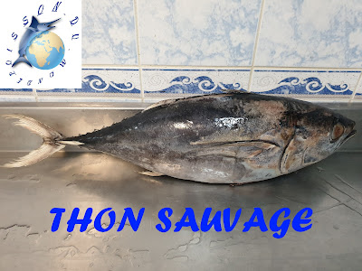 Poisson du Monde à Paris