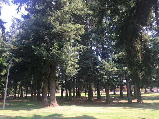 Community Center «Crossroads Community Center», reviews and photos, 16000 NE 10th St, Bellevue, WA 98008, USA