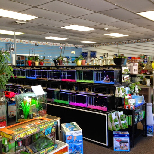 Pet Store «Fins And Feathers», reviews and photos, 222 Willow Ave, Honesdale, PA 18431, USA