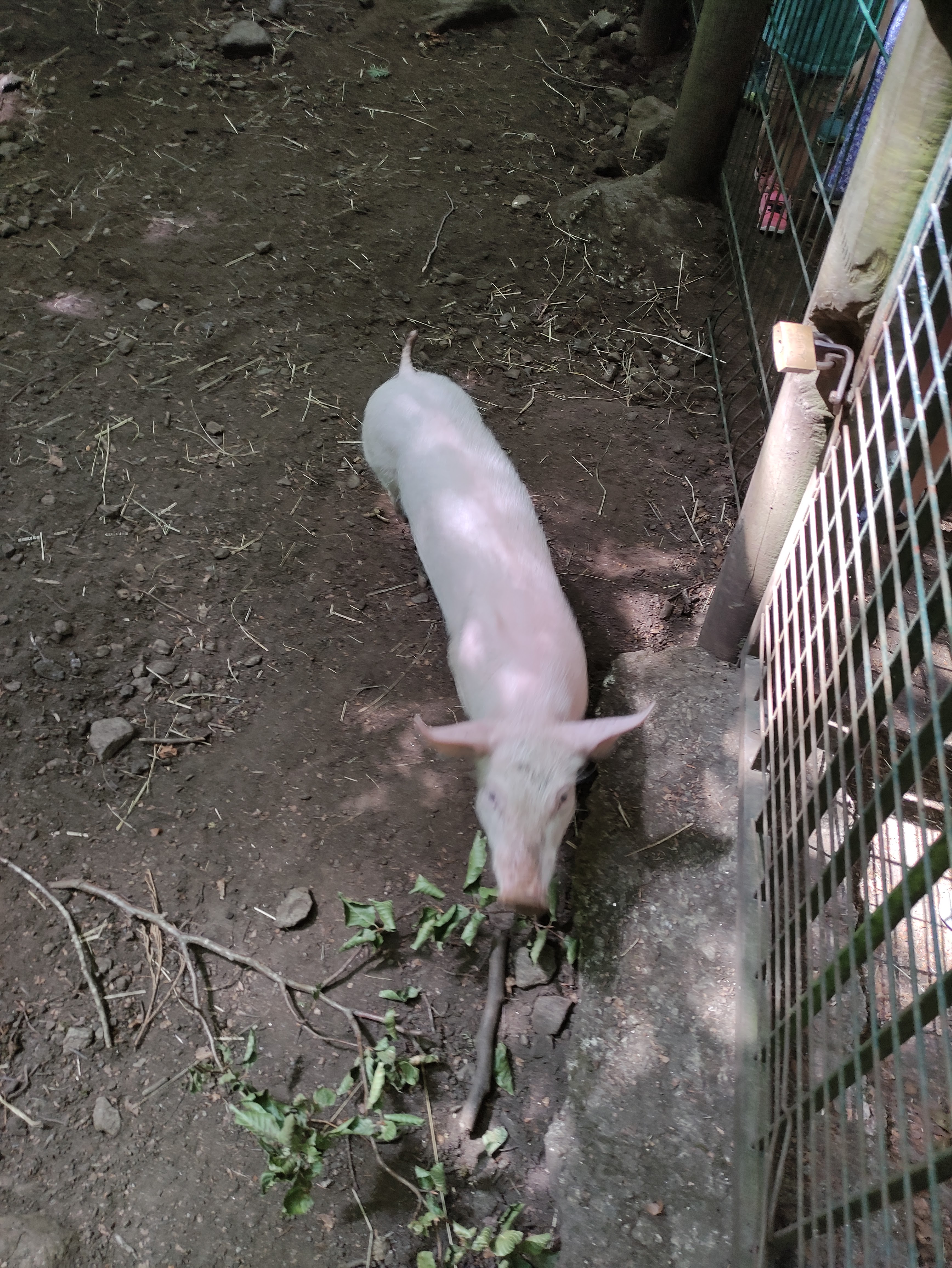 Photo n° 4 de l'avis de Claire.U fait le 13/08/2022 à 18:14