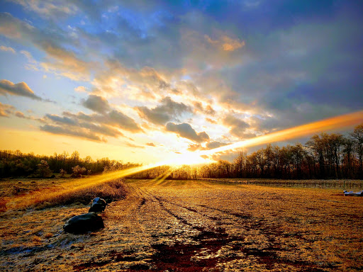 Winery «Red Heifer Winery», reviews and photos, 12840 Red Heifer Winery Lane, Smithsburg, MD 21783, USA