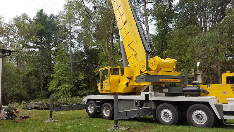 Northshore Tree Services Inc.