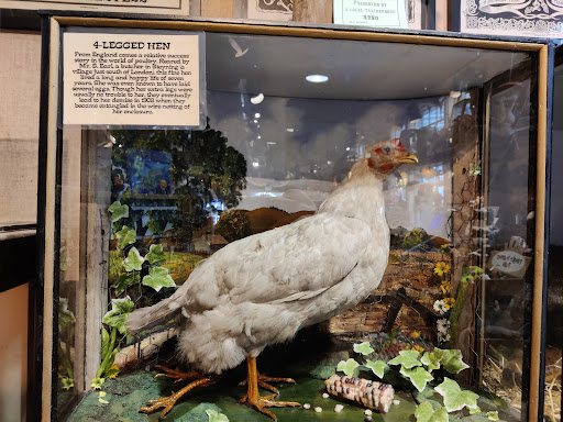 Souvenir Store «Ye Olde Curiosity Shop», reviews and photos, 1001 Alaskan Way, Seattle, WA 98104, USA