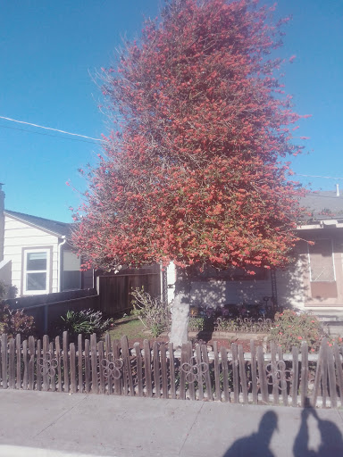 Storage Facility «Extra Space Storage», reviews and photos, 250 Dela Vina Ave, Monterey, CA 93940, USA