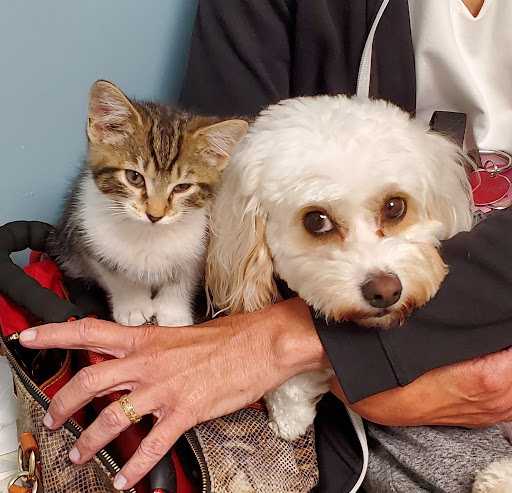 Brunswick Crossing Animal Hospital image