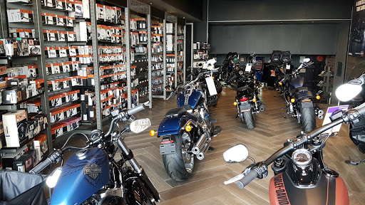 Harley-Davidson® Satélite