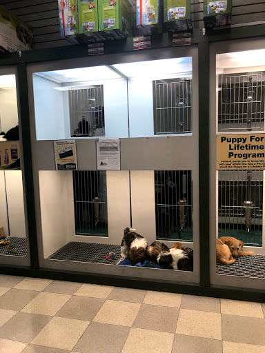 Pet Store «Petland Las Vegas», reviews and photos, 8800 W Charleston Blvd #3, Las Vegas, NV 89145, USA