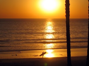San Clemente Beach Trail - photo 86