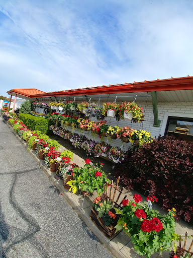 Grocery Store «S & R Farm Market», reviews and photos, 7600 Broadview Rd, Cleveland, OH 44134, USA