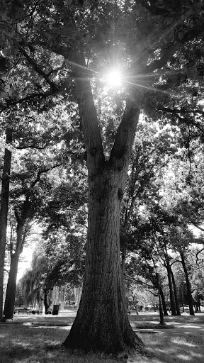 Park «Bowne Park», reviews and photos, 156-17 29th Ave, Flushing, NY 11354, USA