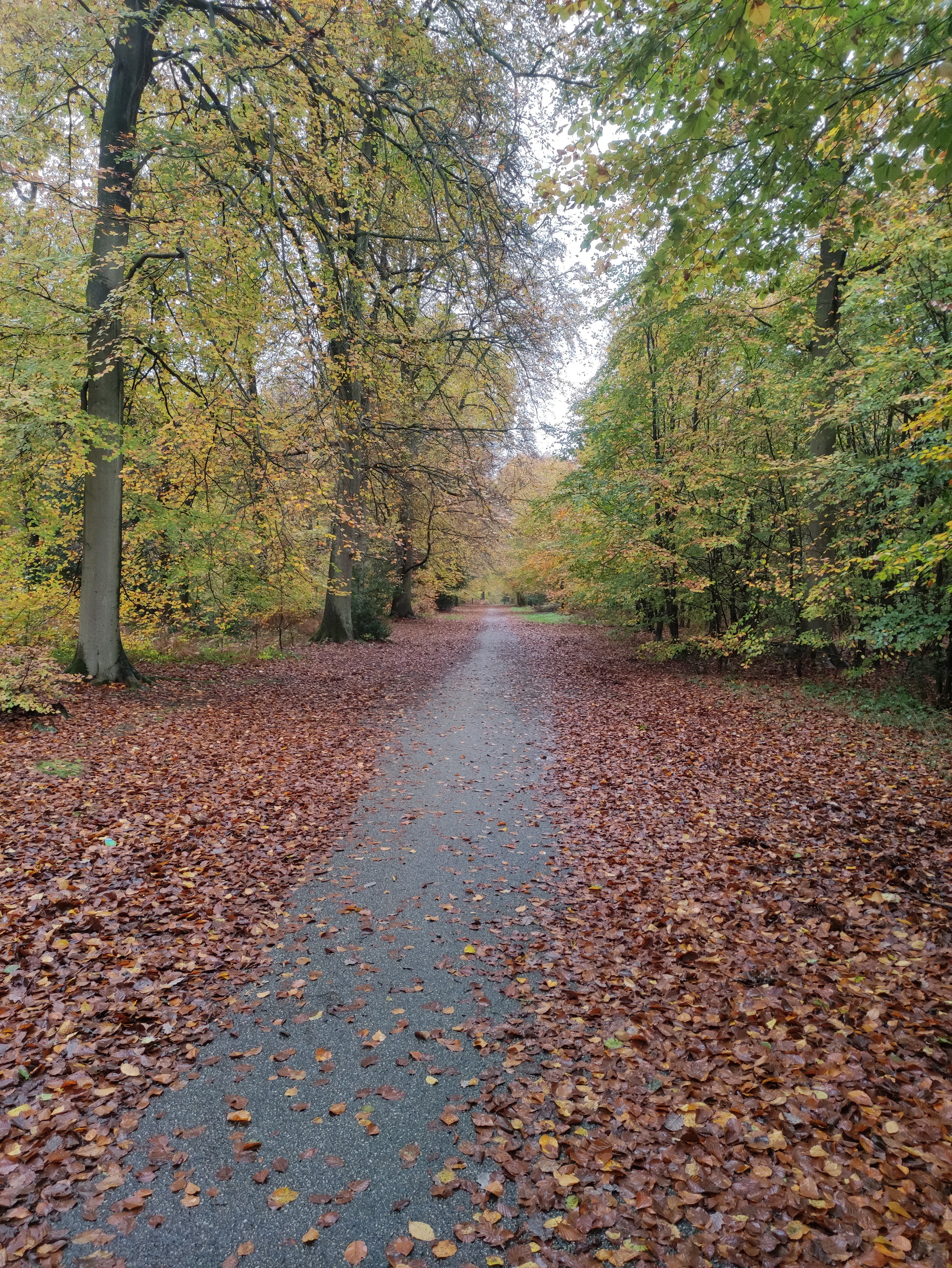 Photo n° 1 de l'avis de Muriel.o fait le 25/11/2022 à 23:20