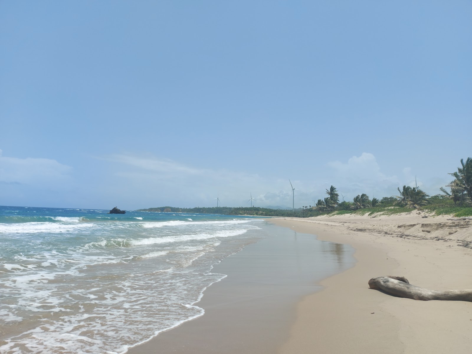 Zdjęcie Playa Guzmancito z poziomem czystości wysoki