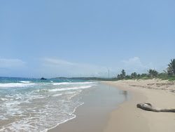 Playa Guzmancito'in fotoğrafı çok temiz temizlik seviyesi ile
